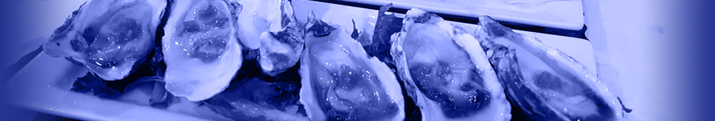 SOCIAL HEADER